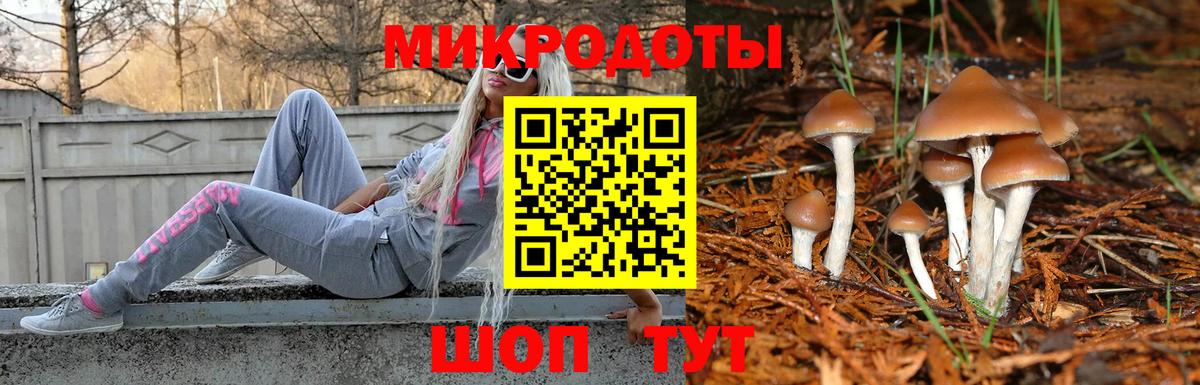 Галлюциногенные грибы ЛСД Рыбинск